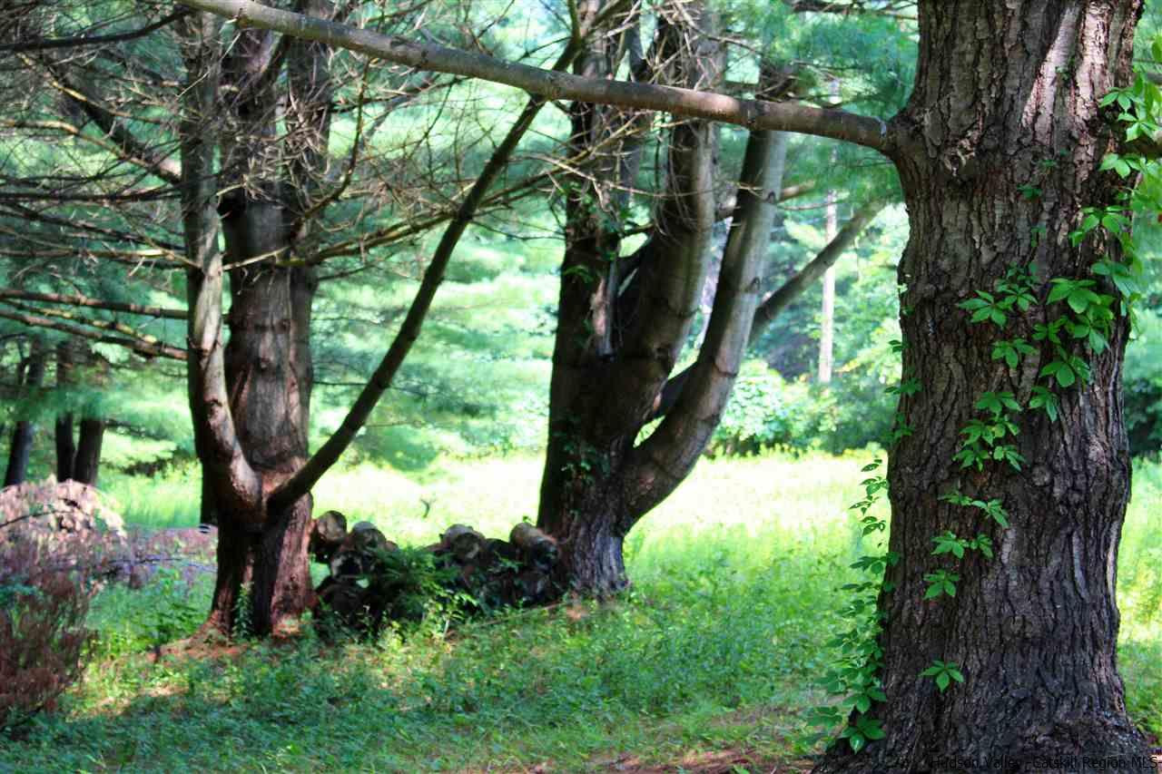 Tbd Tbd Etheline Road, Unit ROCKY MOUNTAIN ROAD Kerhonkson, NY 12446 - Photo 6 of 22 Photo 6