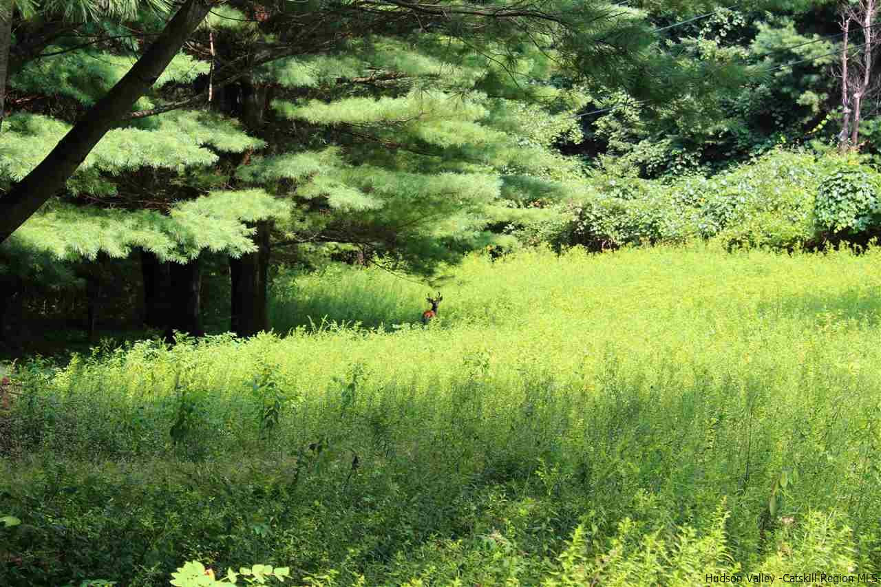 Tbd Tbd Etheline Road, Unit ROCKY MOUNTAIN ROAD Kerhonkson, NY 12446 - Photo 8 of 22 Photo 8