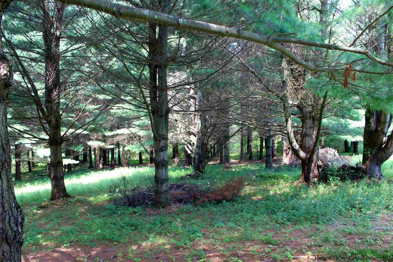 Tbd Tbd Etheline Road, Unit ROCKY MOUNTAIN ROAD Kerhonkson, NY 12446 - Photo 9 of 22 Photo 9