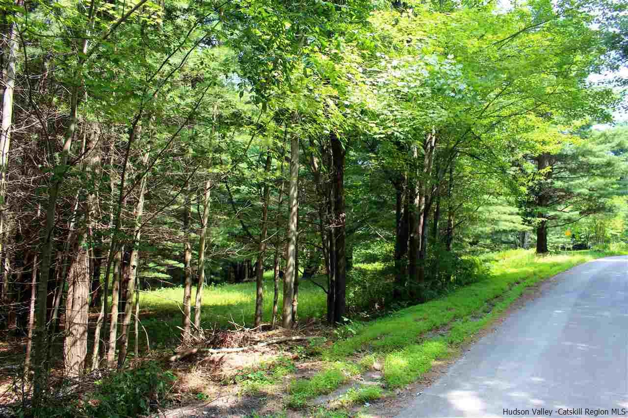 Tbd Tbd Etheline Road, Unit ROCKY MOUNTAIN ROAD Kerhonkson, NY 12446 - Photo 10 of 22 Photo 10