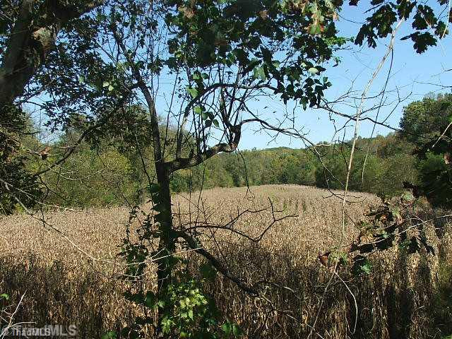 20.4-acres Chestnut Grove Road, Unit 20 King, NC 27021 - Photo 2 of 8 Land. PART OF 7 ACRE+/- BOTTOM LAND BOARDERING LITTLE YADKIN RIVER