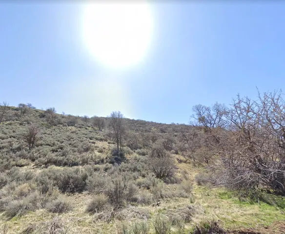 a view of a dry yard with mountains in the background