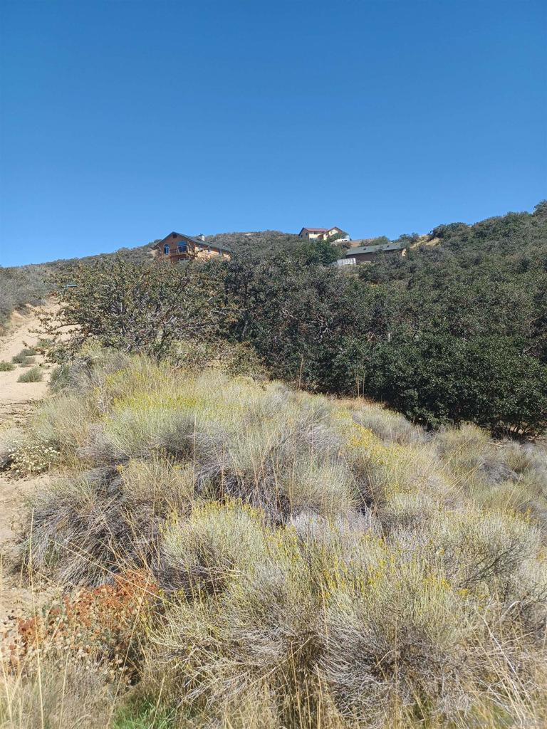 22920 Constance Way Tehachapi, CA 93561 - Photo 5 of 6 a view of a dry space with mountains in the background