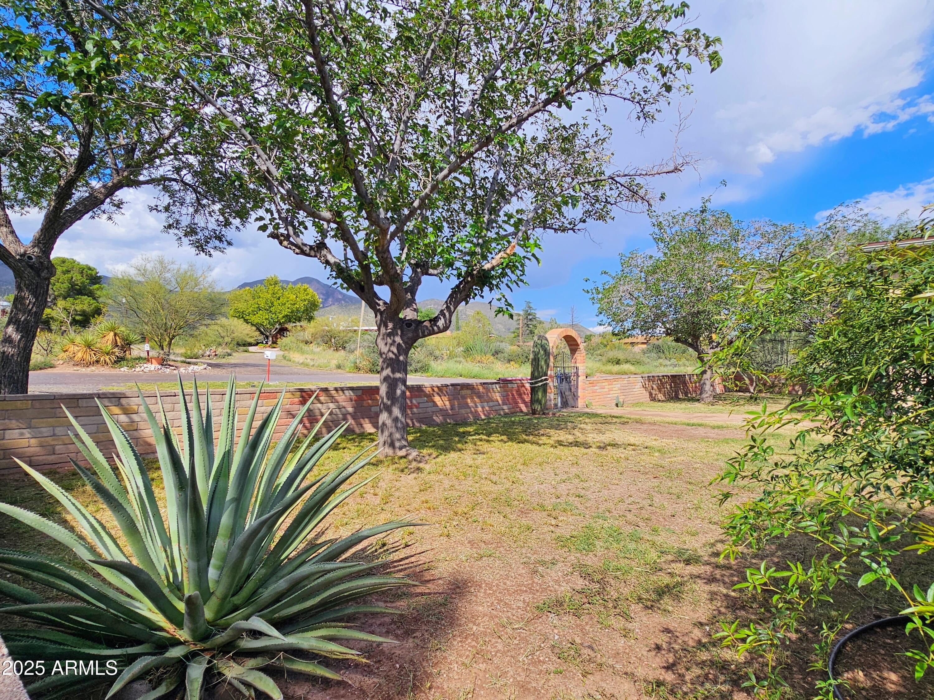 85 Pima Drive Bisbee, AZ 85603 - Photo 41 of 44 a view of a yard with a tree
