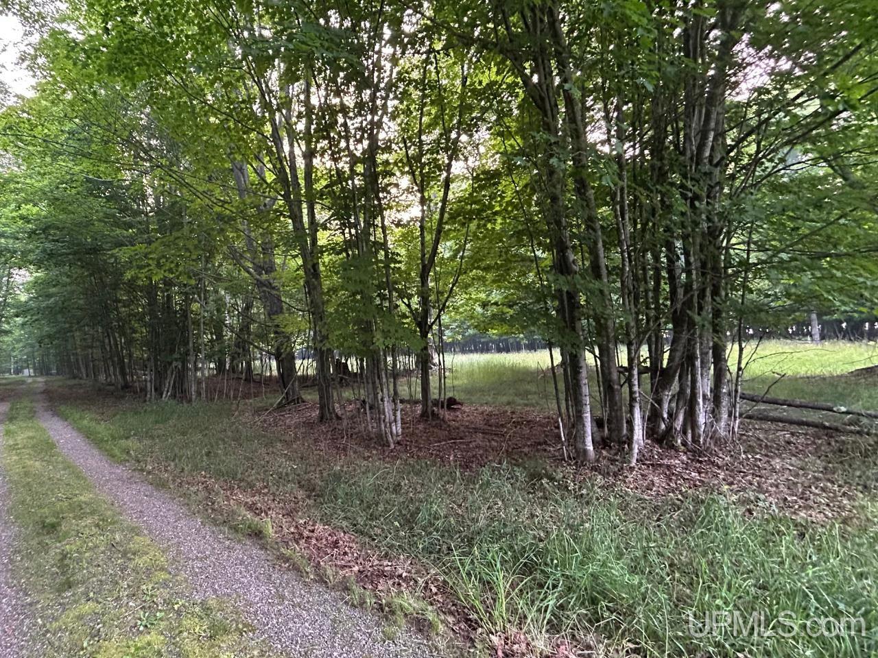 Lot 5 County Road Ishpeming, MI 49849 - Photo 14 of 14