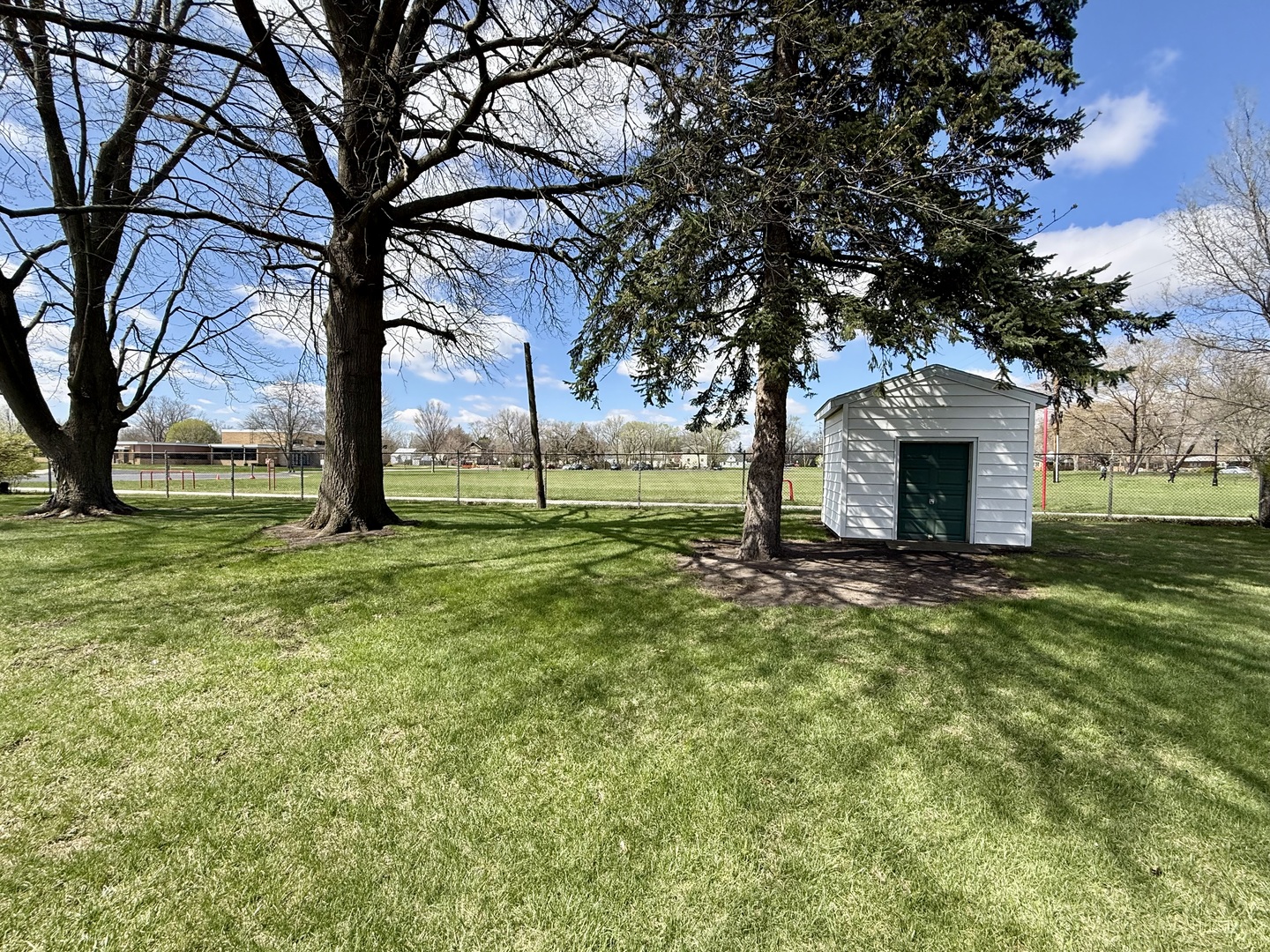 308 Illinois Drive Rantoul, IL 61866 - Photo 17 of 17 a view of yard with tree and green space