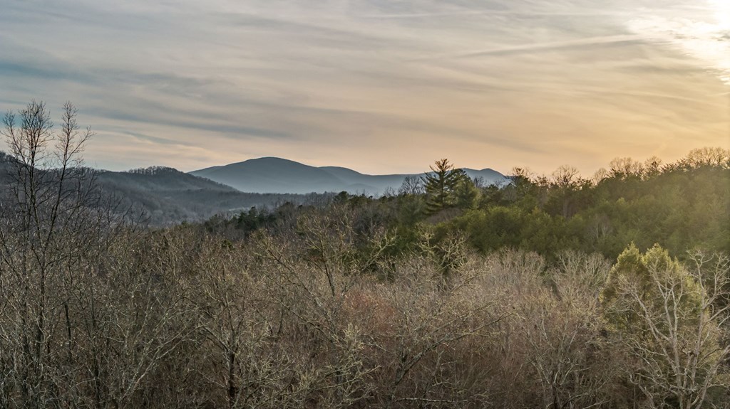 145 Cook Road Morganton, GA 30560 - Photo 35 of 37 Gallery Image 35