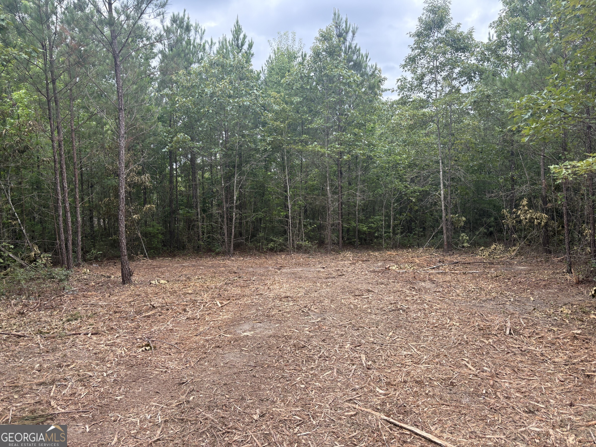 L4 Prosser Road Sandersville, GA 31082 - Photo 2 of 10