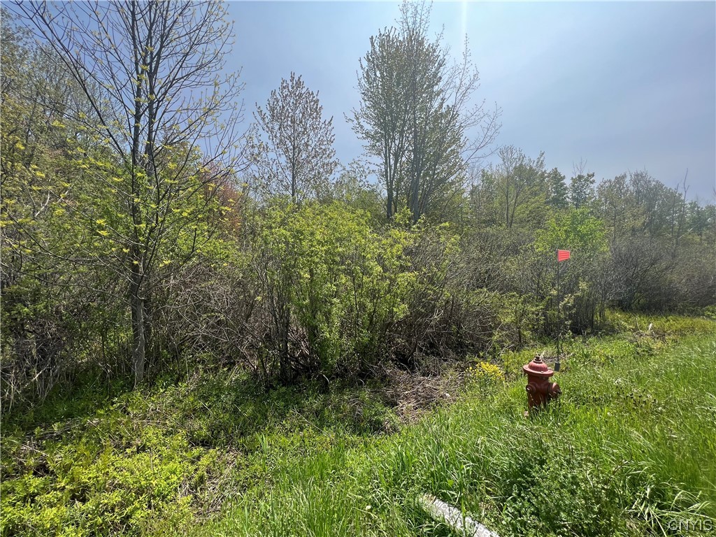 0 Lehigh Road Pulaski, NY 13142 - Photo 3 of 5