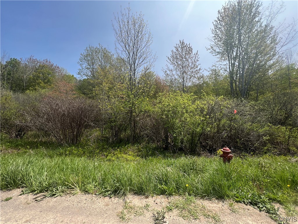 0 Lehigh Road Pulaski, NY 13142 - Photo 5 of 5