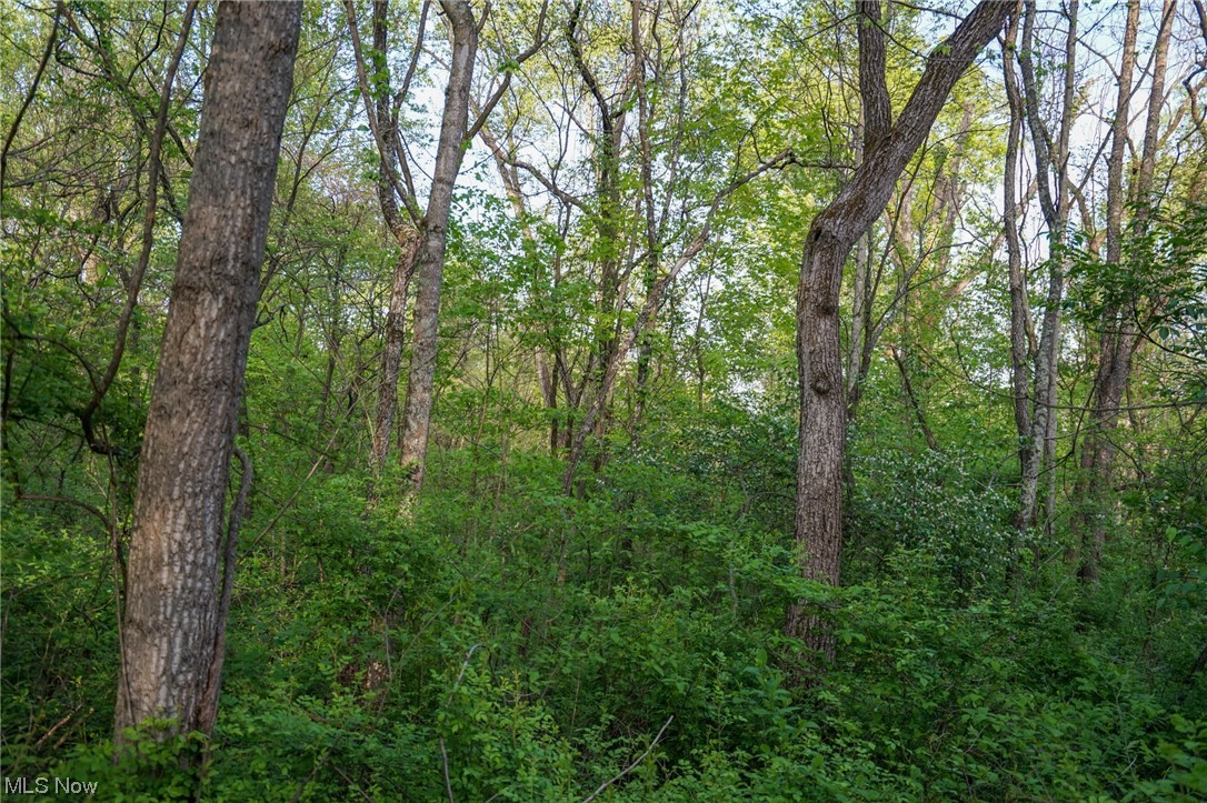 Sandusky Road Albany, OH 45710 - Photo 4 of 35 Gallery Image 4