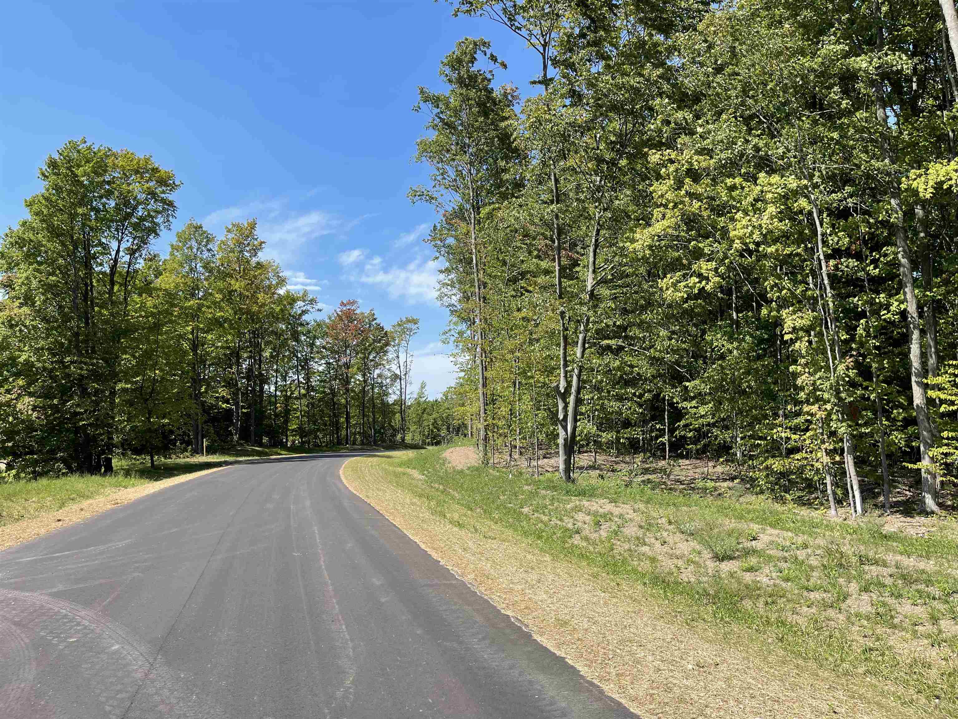 14 Summit City Road, Unit 5409 PARADISE RANCH Kingsley, MI 49649 - Photo 12 of 16