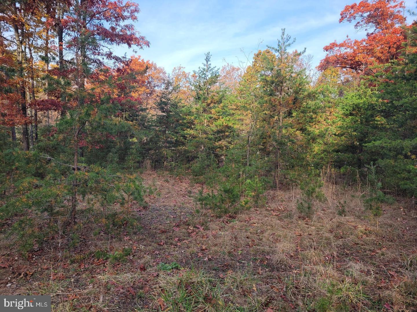 Lot 26 Park Road Bloomery, WV 26817 - Photo 1 of 8