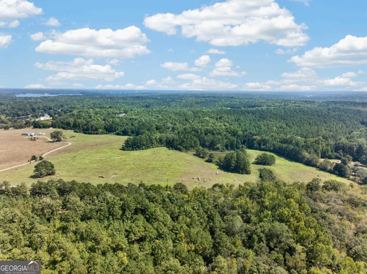 252 Parks Mill Road Buckhead, GA 30625 - Photo 13 of 19 Gallery Image 13