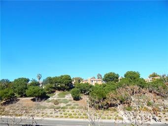 2 Los Palos Aliso Viejo, CA 92656 - Photo 28 of 32 a view of a yard with a tree