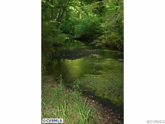 5 Mill Road Powhatan, VA 23139 - Photo 8 of 8 Other - Mill Creek, found along the property line