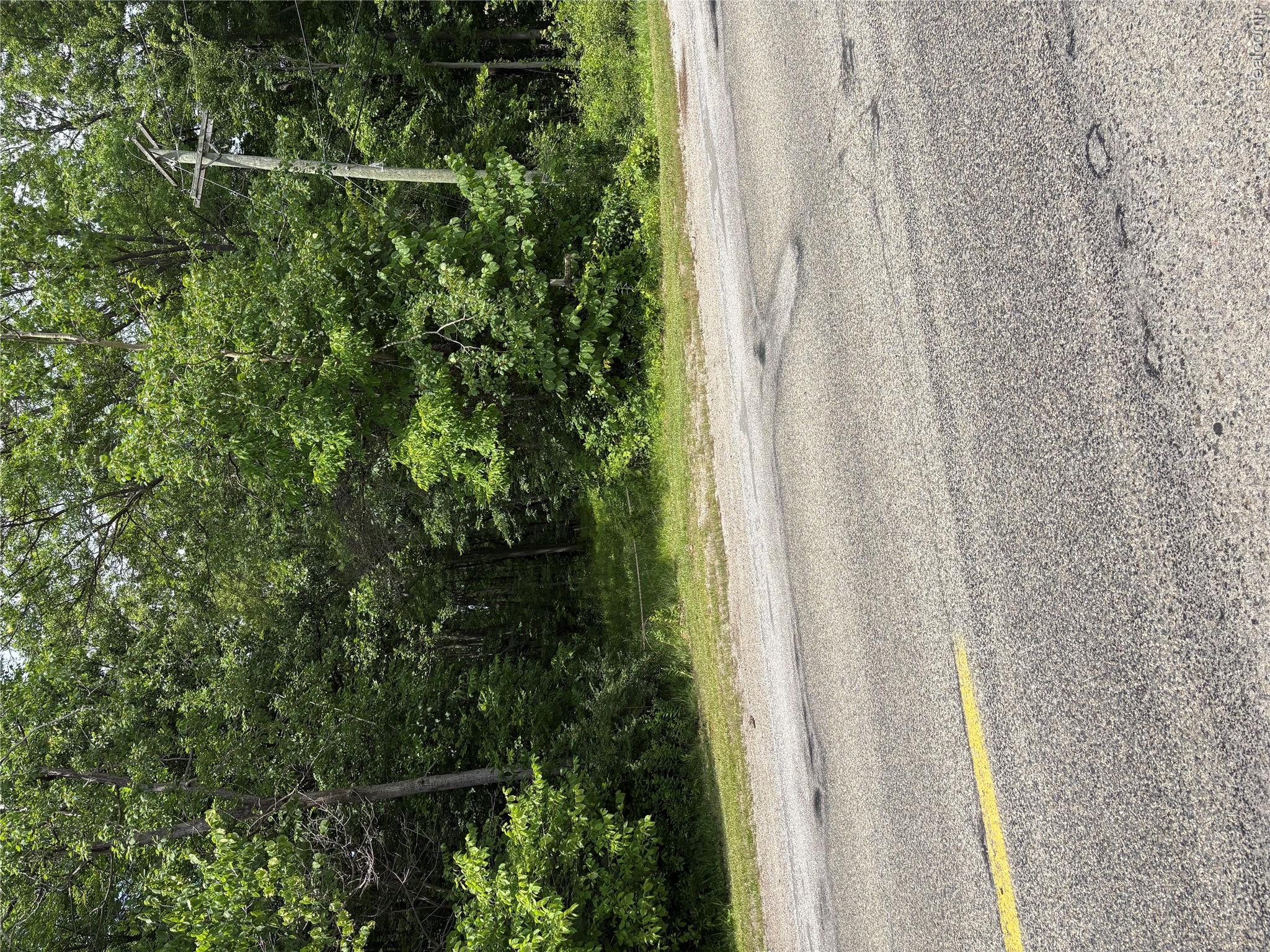 IMG_1712.jpeg