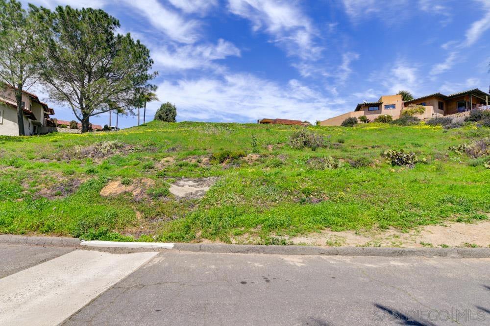 0 Jeffrey Road Del Mar, CA 92014 - Photo 13 of 15 a backyard of a house with lots of green space
