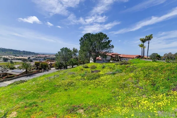 a view of a garden with a building in the background