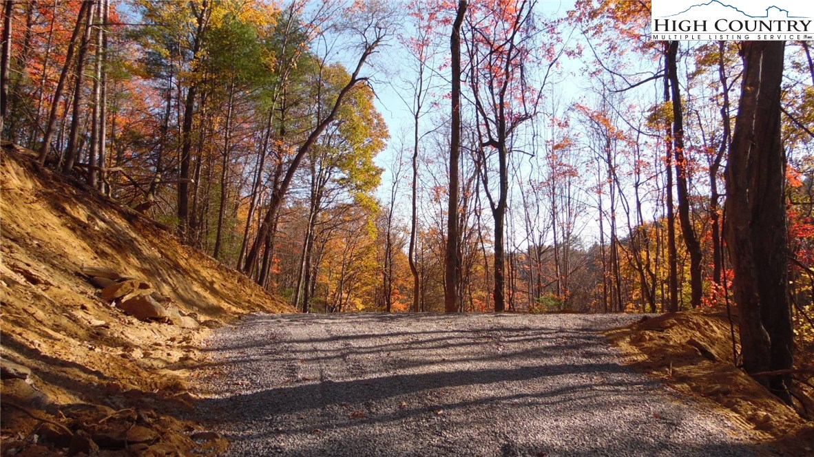 Lot 2 Lost Ridge Road Lenoir, NC 28645 - Photo 8 of 16 Gallery Image 8