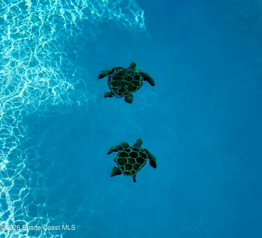 $2,500 | 282 Heritage Street Southwest, Palm Bay, FL 32908