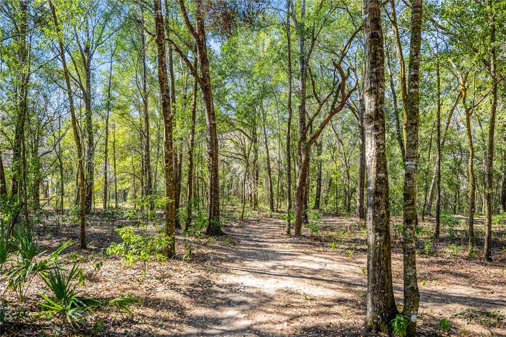 8490 Southeast 110th Street Road Belleview, FL 34420 - Photo 56 of 62