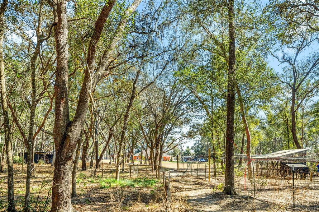 8490 Southeast 110th Street Road Belleview, FL 34420 - Photo 57 of 62