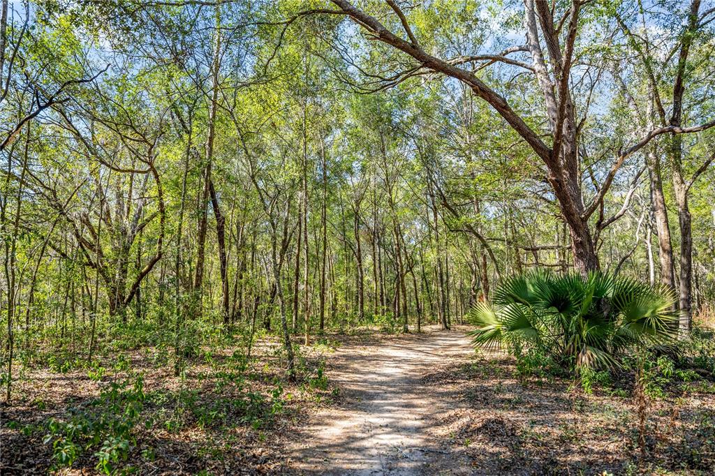 8490 Southeast 110th Street Road Belleview, FL 34420 - Photo 58 of 62