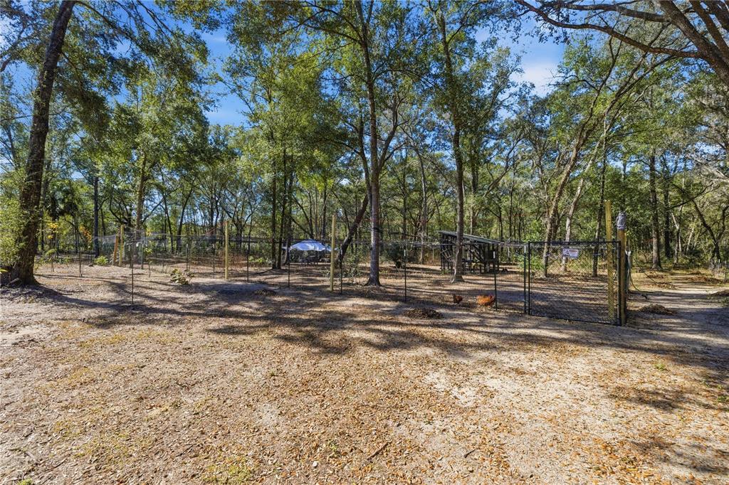 8490 Southeast 110th Street Road Belleview, FL 34420 - Photo 59 of 62