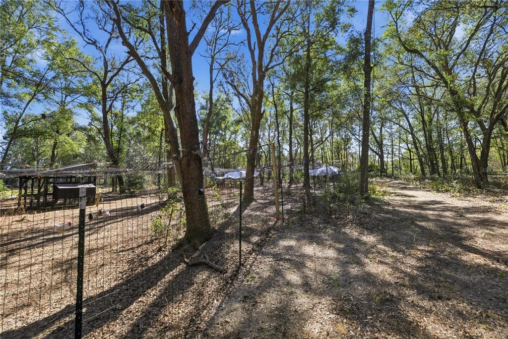 8490 Southeast 110th Street Road Belleview, FL 34420 - Photo 61 of 62