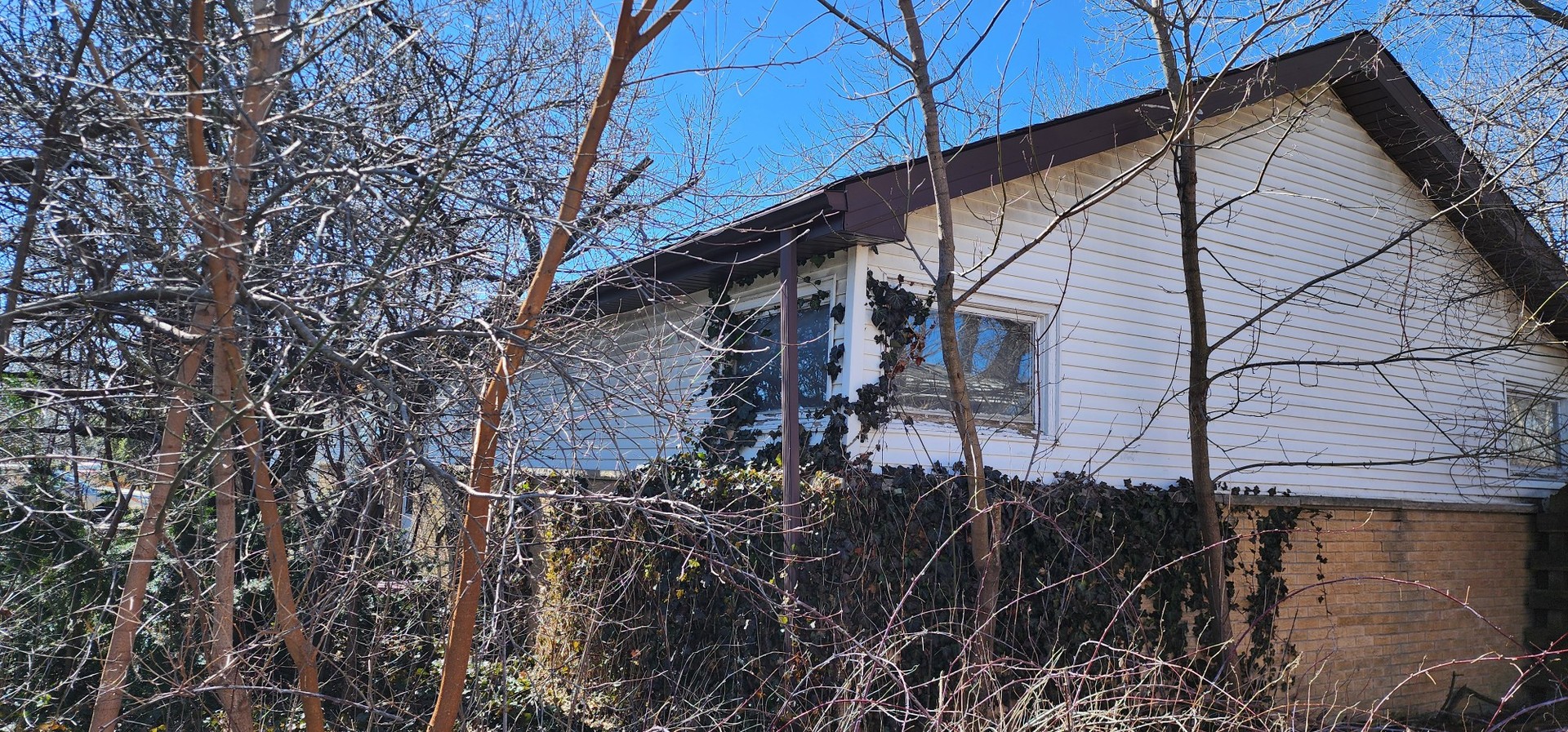 9408 Sumac Road Des Plaines, IL 60016 - Photo 2 of 2 a backyard of a house with lots of green space