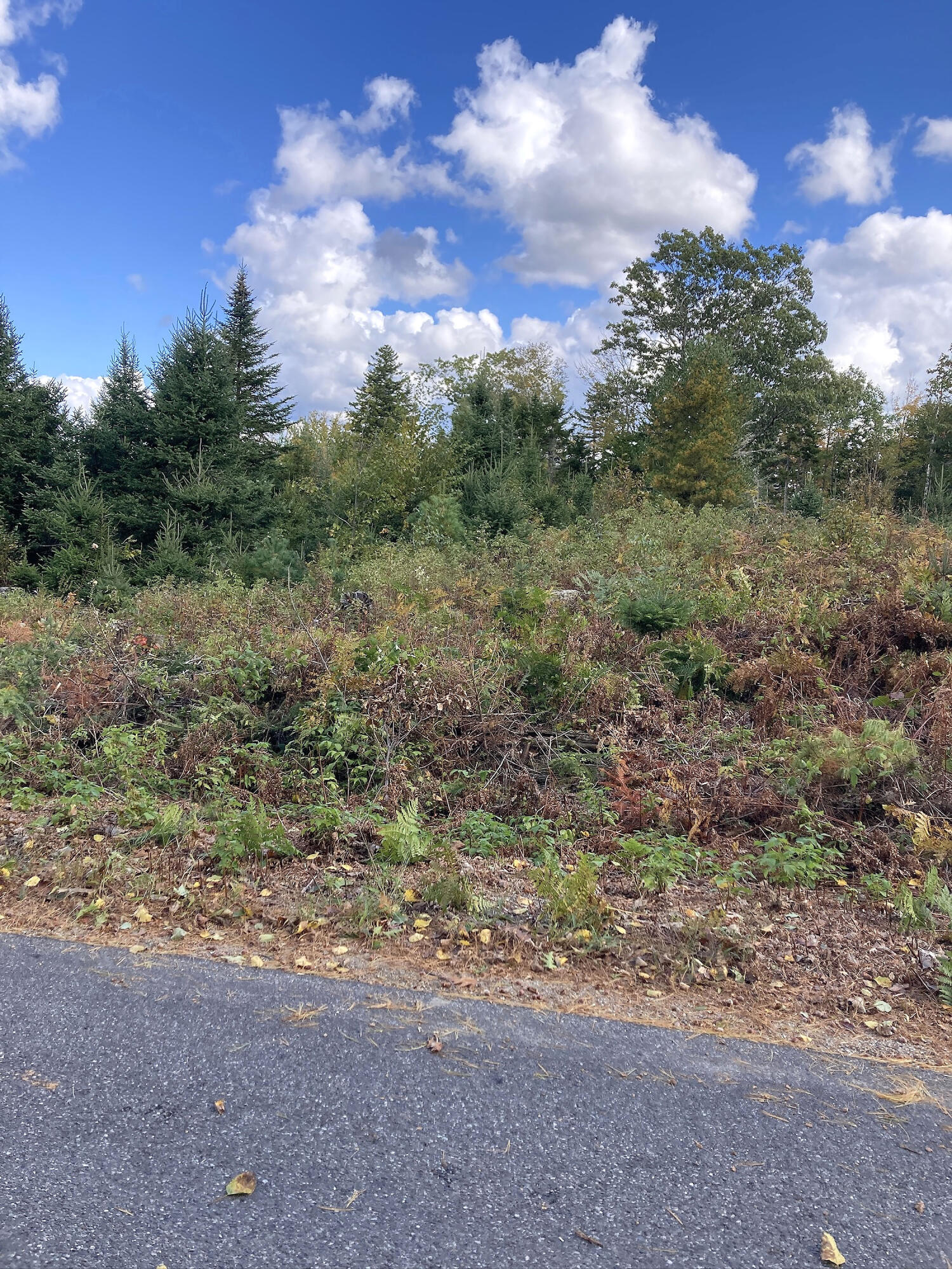 533 A Range Road Blue Hill, ME 04614 - Photo 14 of 26 533A RangeRoad_013