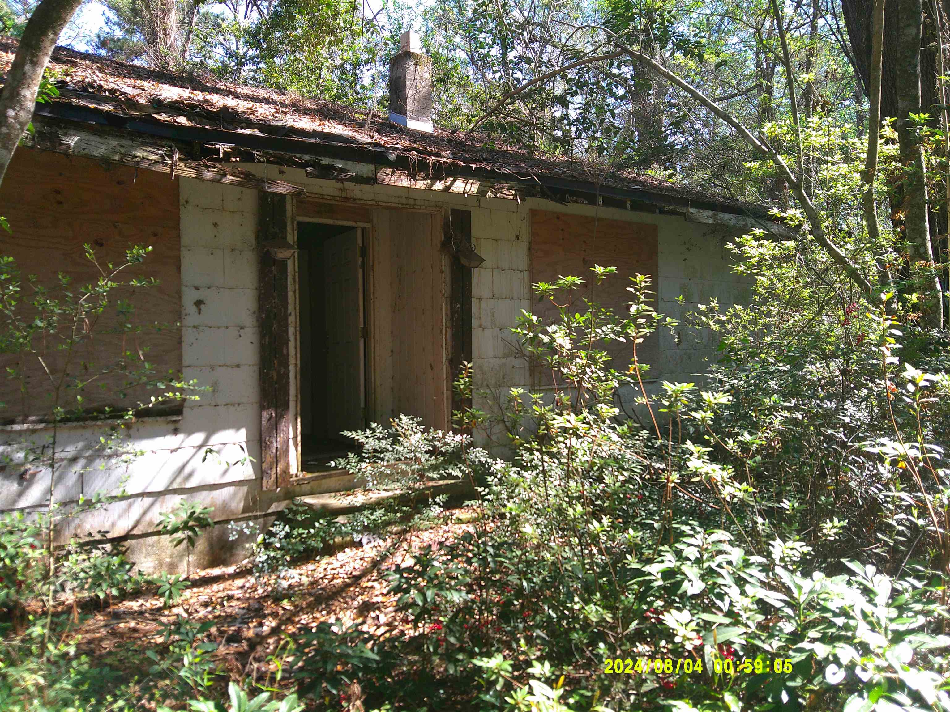 7091 Thomasville Road Tallahassee, FL 32312 - Photo 9 of 51
