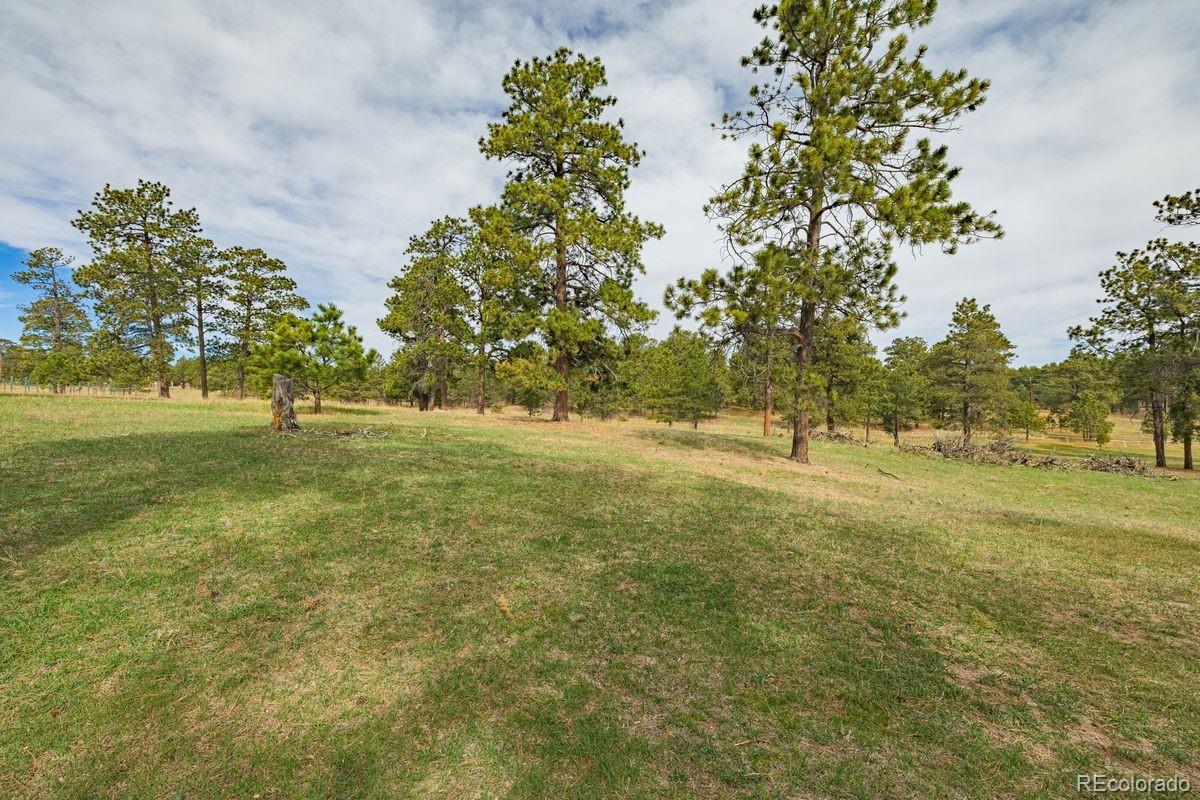 13354 Meridian Road Elbert, CO 80106 - Photo 31 of 46 Gallery Image 31