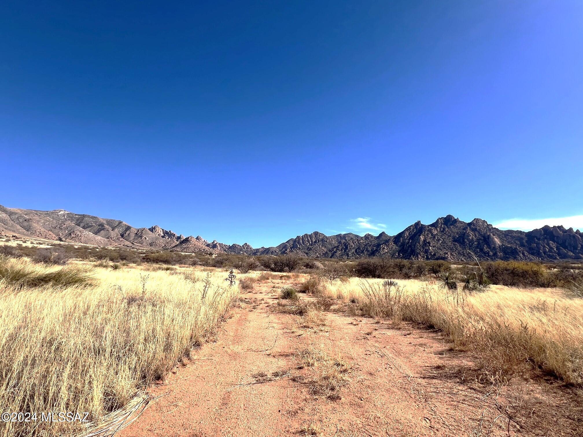 36.68-ac East Diamondback Road, Unit 192 St. David, AZ 85630 - Photo 6 of 20 Gallery Image 6