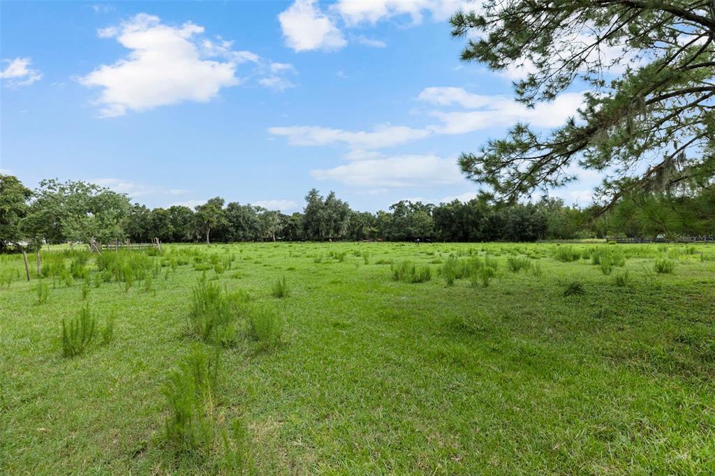 6930 Muck Pond Road Seffner, FL 33584 - Photo 2 of 30 Gallery Image 2