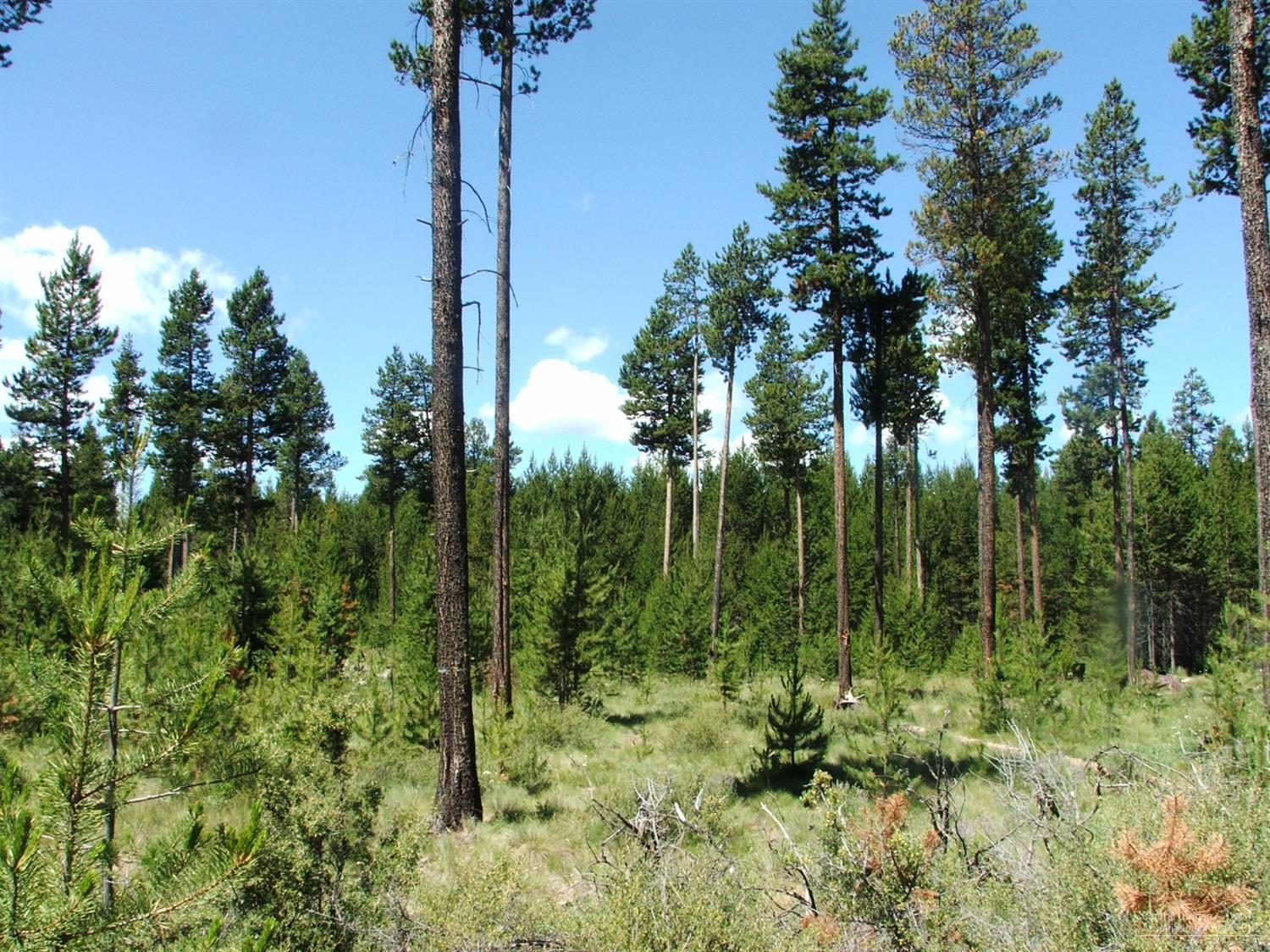 54807 Tamarack Road Bend, OR 97707 - Photo 1 of 5 Primary Photo