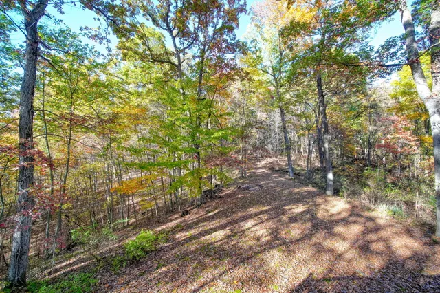 $549,900 | 270 Wood Hills Drive, Concord, MI 49237