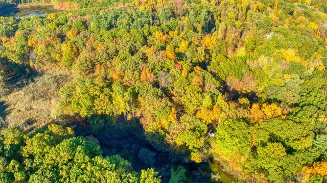 $549,900 | 270 Wood Hills Drive, Concord, MI 49237