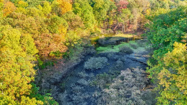 $549,900 | 270 Wood Hills Drive, Concord, MI 49237