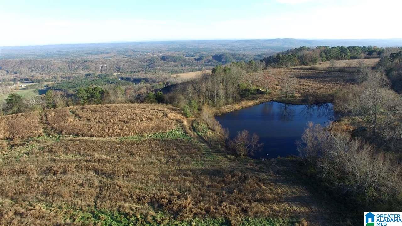 0 County Road 24, Unit 49 / ACRES Springville, AL 35146 - Photo 13 of 18