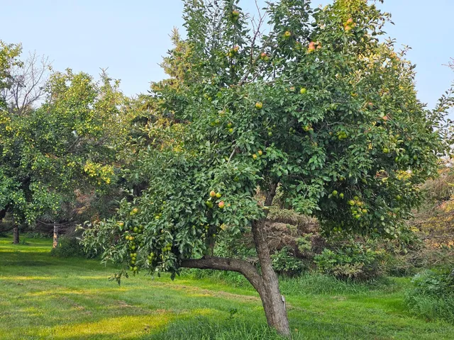 $949,000 | 200 Spring View Drive, Edgerton, MN 56128