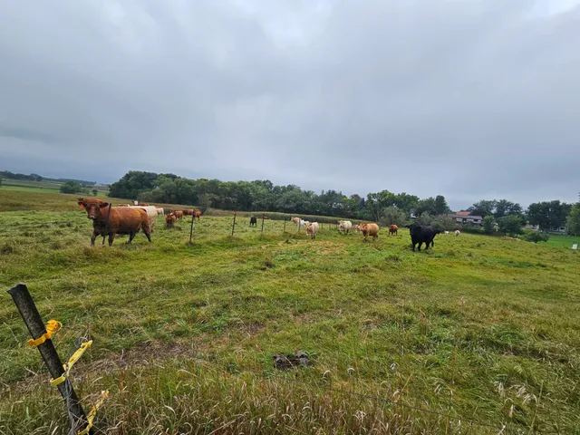 $949,000 | 200 Spring View Drive, Edgerton, MN 56128