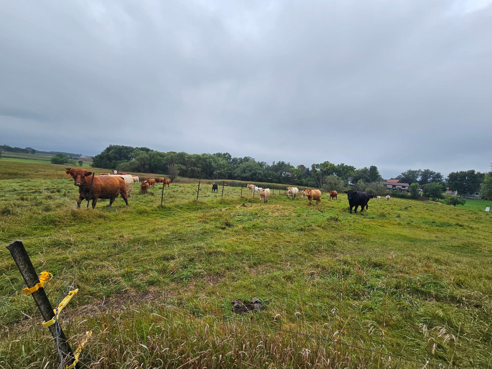 200 Spring View Drive Edgerton, MN 56128 - Photo 39 of 42