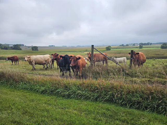 $949,000 | 200 Spring View Drive, Edgerton, MN 56128