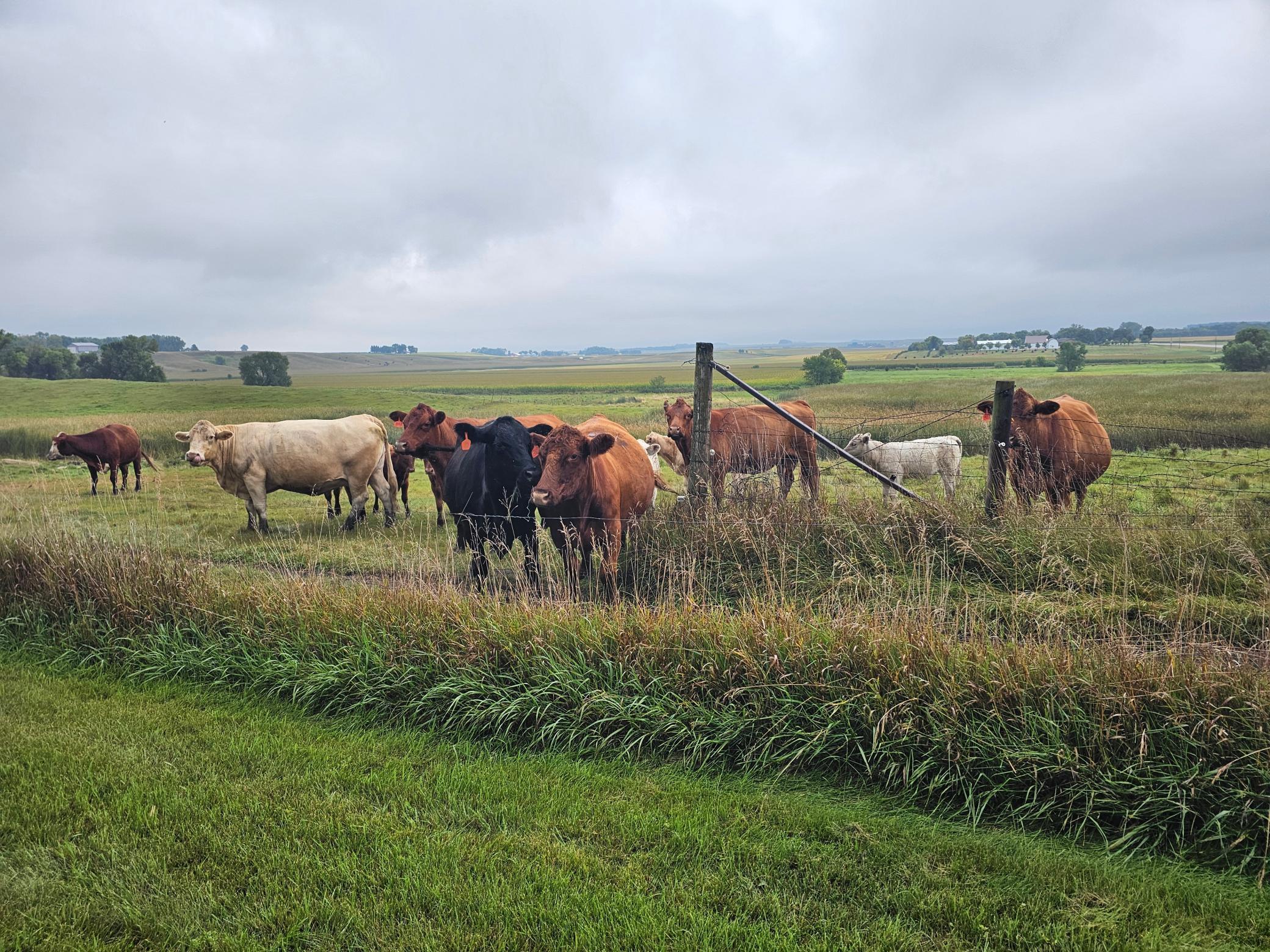 200 Spring View Drive Edgerton, MN 56128 - Photo 42 of 42