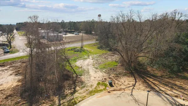 a view of a yard