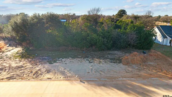 a view of a backyard of a house