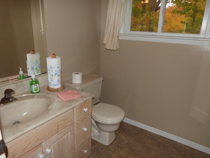 2889 Peckens Road Honor, MI 49640 - Photo 15 of 35 1878339-14.JPG