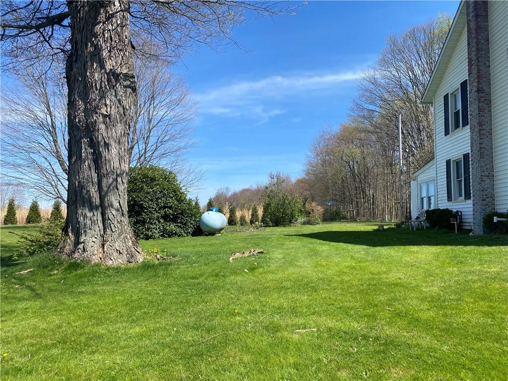 47 Ray Road Greenville, PA 16125 - Photo 9 of 29